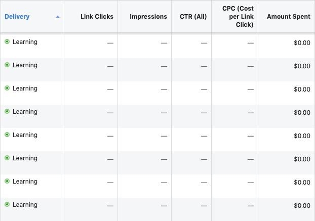 4 Reasons Your Facebook Ads Are Not Delivering ( and What to Do About It!) 4 Reasons Your Facebook Ads Are Not Delivering ( and What to Do About It!)