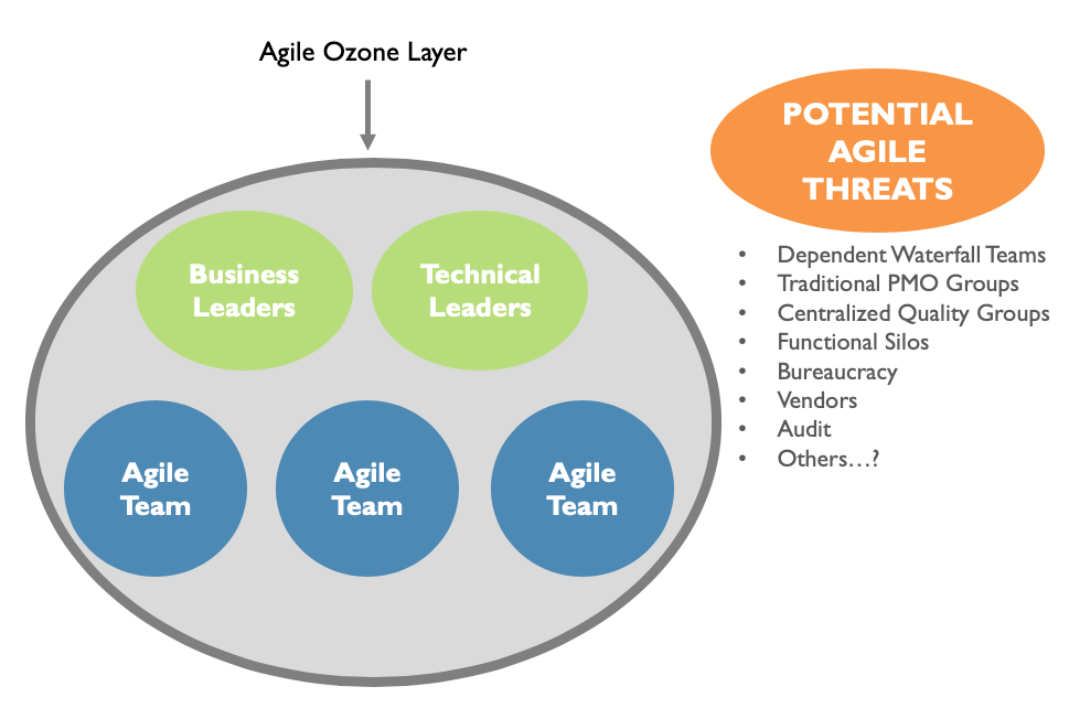 Agile Leader Role During an Agile Transformation