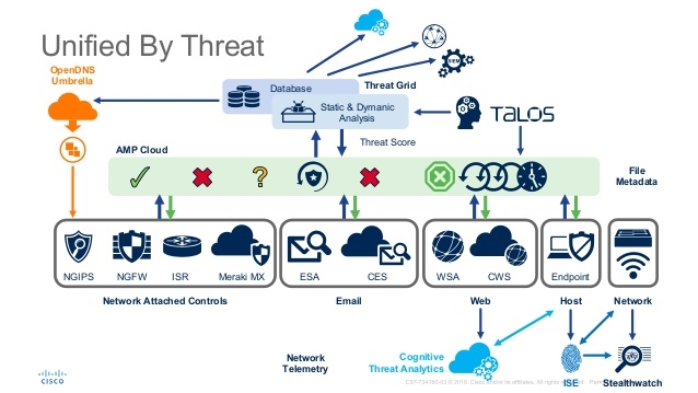 AMP for Email: Everything You Need to Know