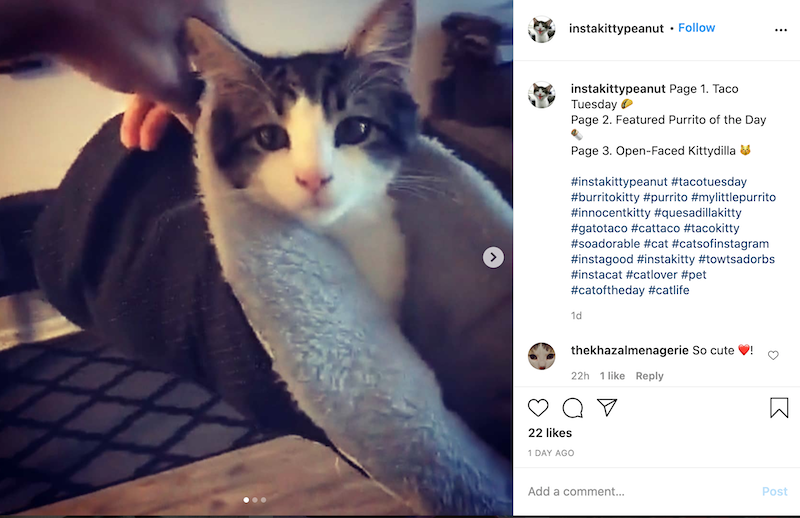 100+ Creative Hashtags for Every Day of the Week 100+ Creative Hashtags for Every Day of the Week