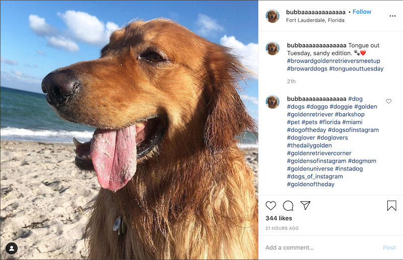 100+ Creative Hashtags for Every Day of the Week 100+ Creative Hashtags for Every Day of the Week