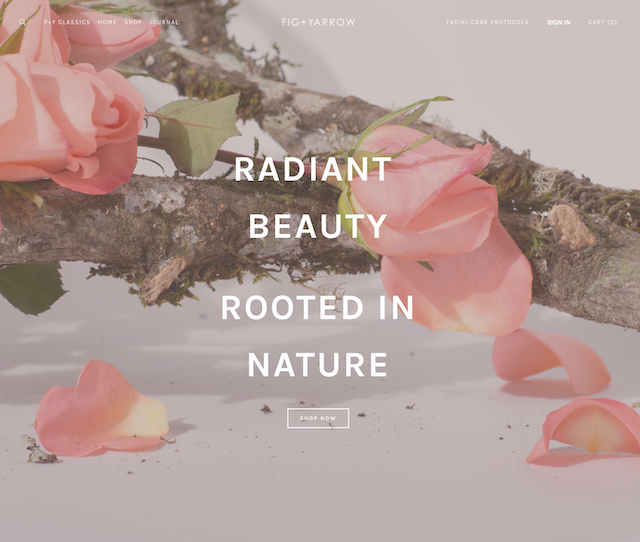 The 30 Best Homepage Design Examples in 2020