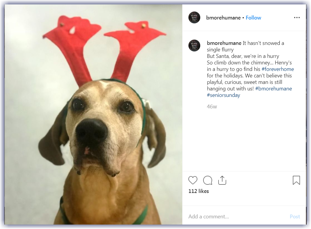 How to Decorate Your Social Media for the Holidays