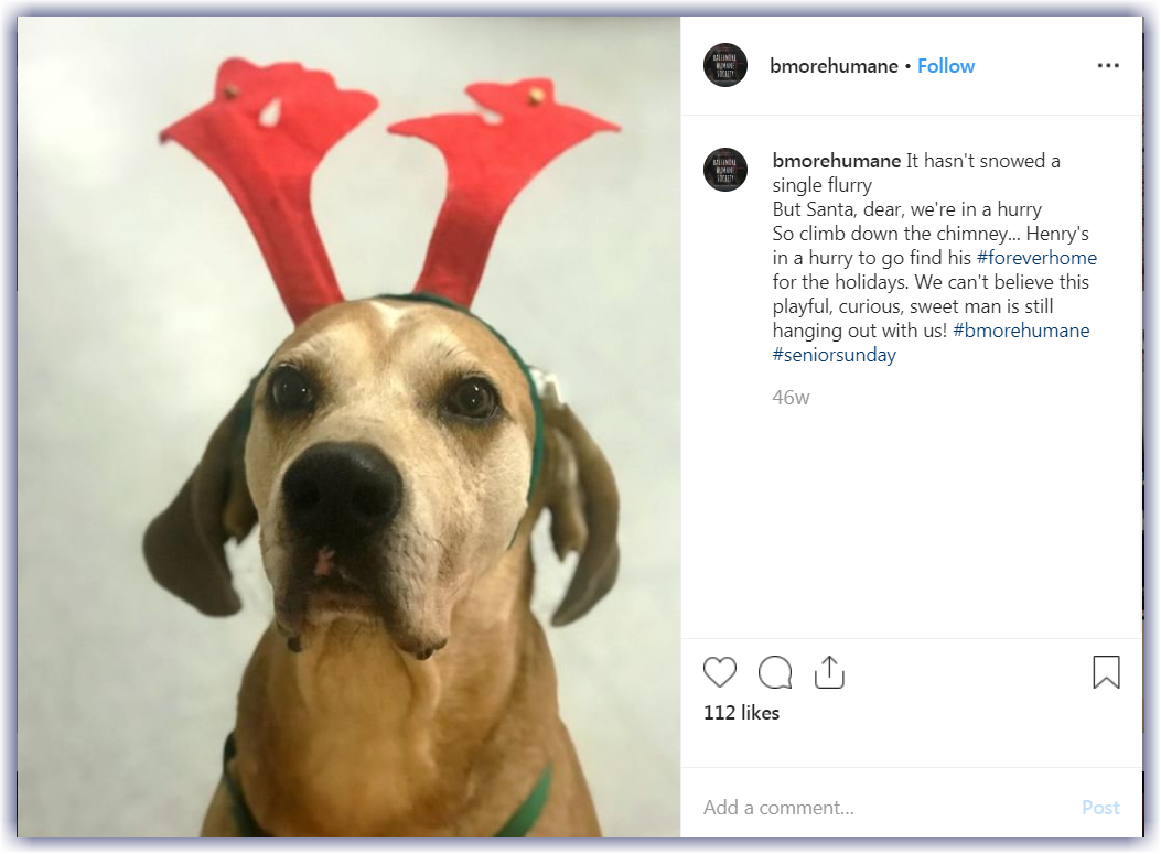 How to Decorate Your Social Media for the Holidays How to Decorate Your Social Media for the Holidays