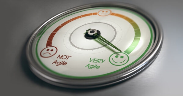 An Assessment of Modern Agile Assessment Tools An Assessment of Modern Agile Assessment Tools