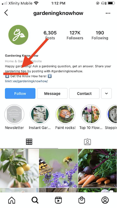 Instagram SEO: 4 Ways to Rank Higher in 2021