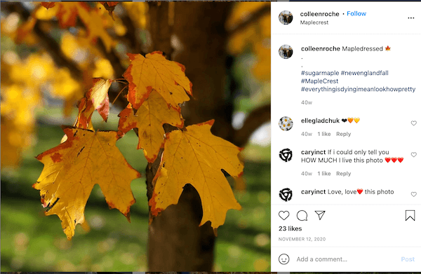 157 Authentic Fall Hashtags to Harvest More Customers (+Tips!)