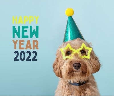 131 [NOT Overused!] New Year’s Instagram Captions  and  Templates