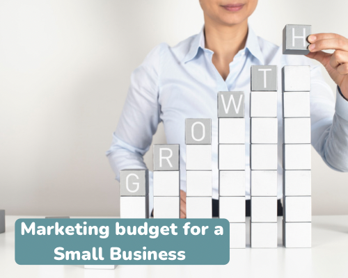 Marketing Mistake 2: Not Having a Marketing Budget For a Small Business