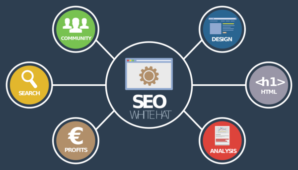 5 Reasons Why SEO is More Important Than Ever
