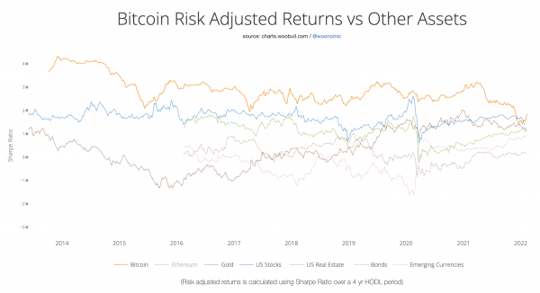 12 Most Promising Cryptocurrency to Invest in 2022