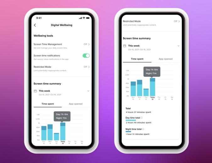 TikTok adds new screen time controls to remind users to take breaks