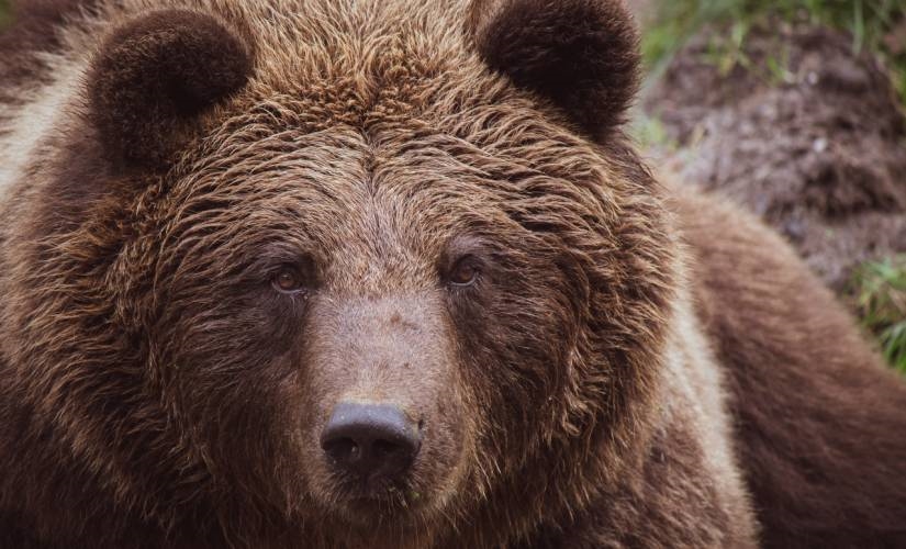 Bear Markets Bring Us Fortunes, and This One’s Almost Over