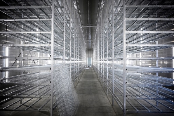 This new vertical farm is growing towering racks of mycelium for fungi-based bacon