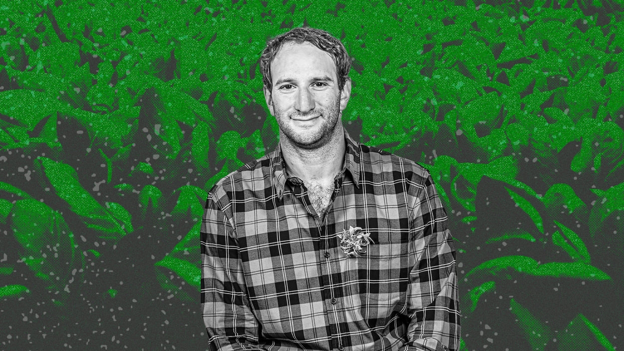 These smart farms are 100 times more productive than traditional agriculture