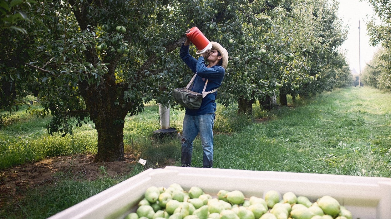 Intense heat is responsible for 170,000 work-related injuries each year. Do employers care? Intense heat is responsible for 170,000 work-related injuries each year. Do employers care?