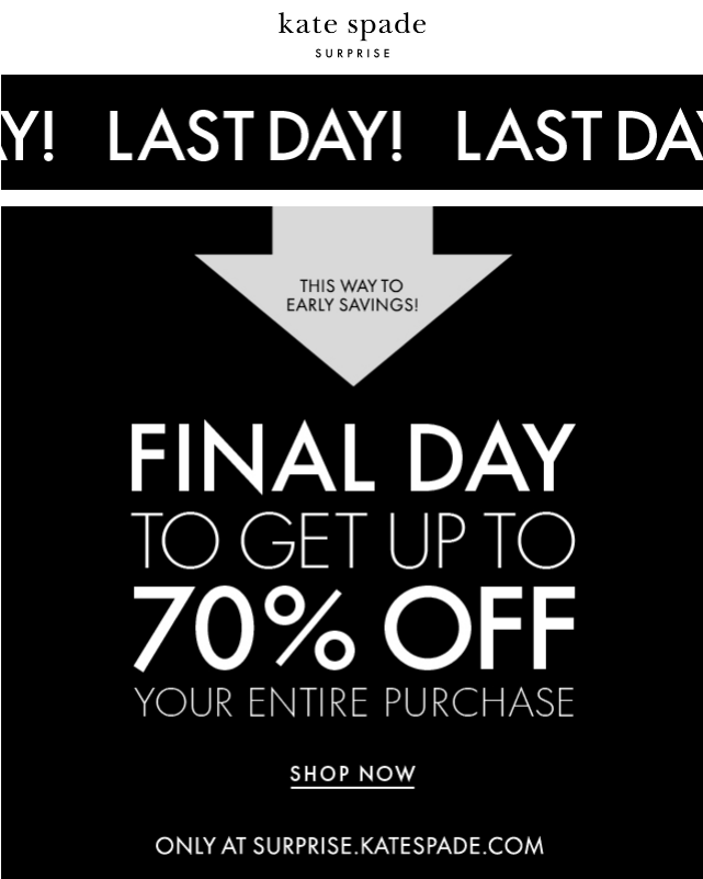 How persuasive email design can influence the ecommerce customer journey A black and white advertisement Description automatically generated