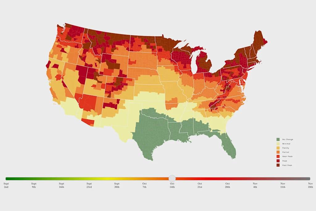Labor Day marks the start of fall—here’s when the leaves will change where you live