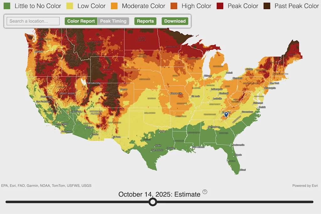 Labor Day marks the start of fall—here’s when the leaves will change where you live