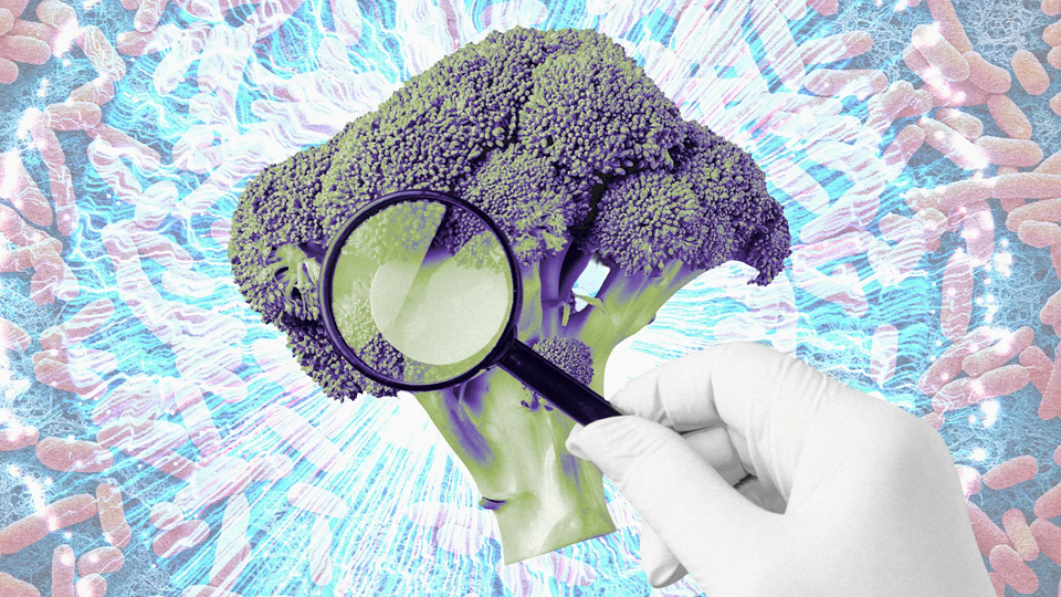 How AI is reshaping recalls How AI is reshaping recalls