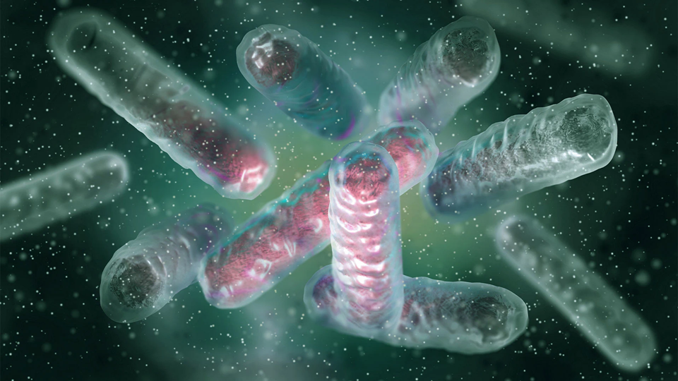 Drug-resistant “superbugs” see alarming rise in U.S. Drug-resistant “superbugs” see alarming rise in U.S.