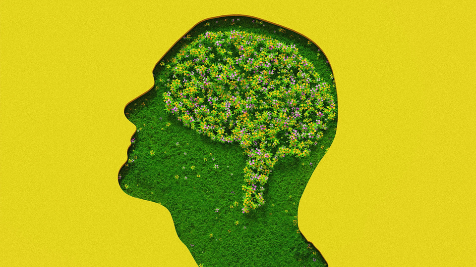 Most employers offer mental health care benefits: that doesn’t mean they’re effective Most employers offer mental health care benefits: that doesn’t mean they’re effective