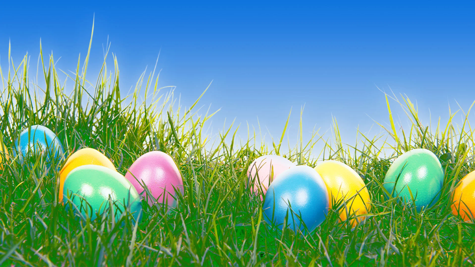 Are stores open on Easter Sunday 2026? Holiday hours for Walmart, Whole Foods, Costco, and more | DeviceDaily.com