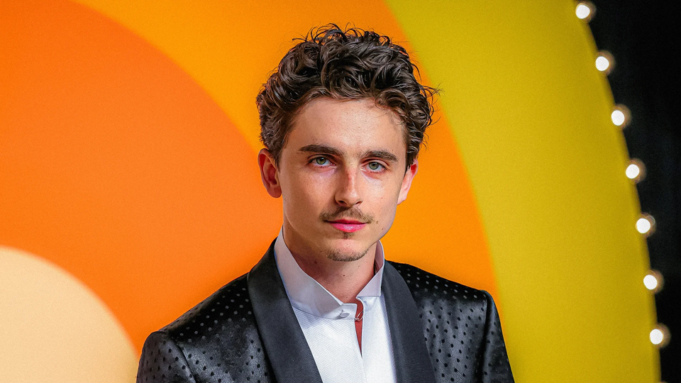 Timothée Chalamet’s latest paycheck may have just cost him some fans | DeviceDaily.com Timothée Chalamet’s latest paycheck may have just cost him some fans | DeviceDaily.com