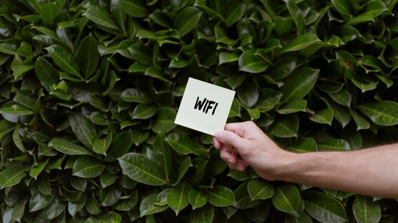 Router brands could be misleading you with that Wi-Fi 7 label | DeviceDaily.com Router brands could be misleading you with that Wi-Fi 7 label | DeviceDaily.com
