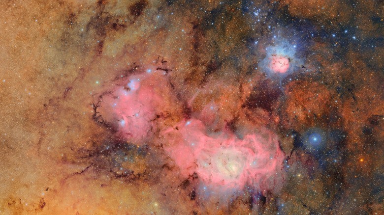A 10-year sky survey begins filming a 'cosmic movie,' cyborg cockroaches go for a dive and more science stories | DeviceDaily.com