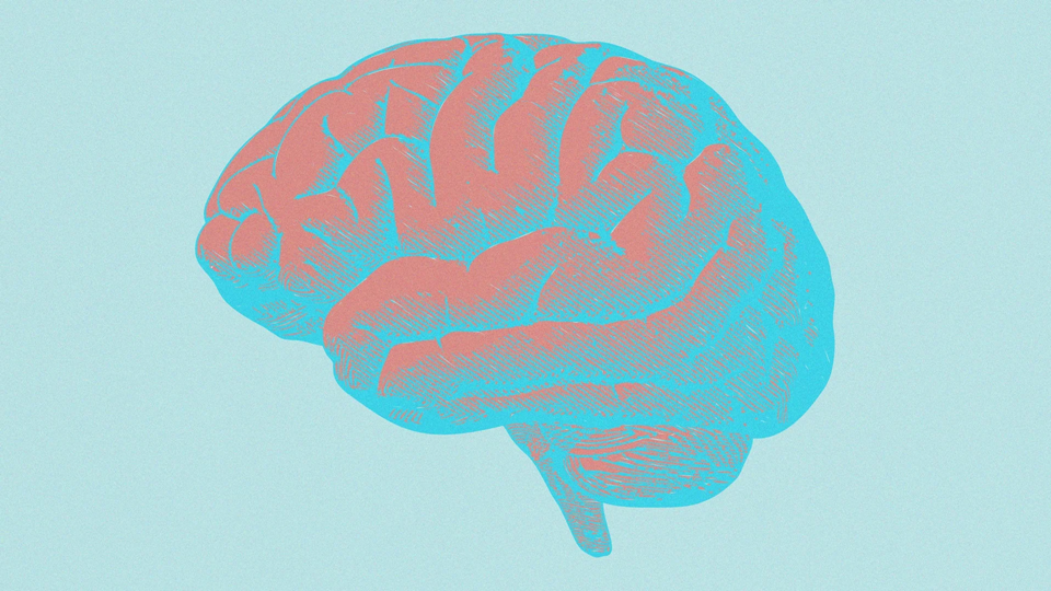 Do this for 5 to 10 minutes a day to improve your brain at any age, new research shows | DeviceDaily.com Do this for 5 to 10 minutes a day to improve your brain at any age, new research shows | DeviceDaily.com