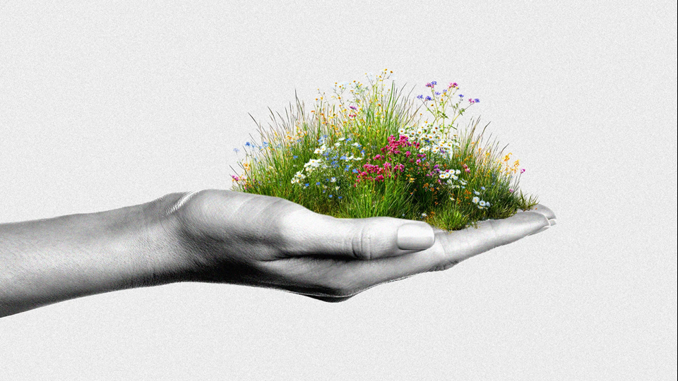 How ‘wildflowering’ at work could lead to promotions | DeviceDaily.com How ‘wildflowering’ at work could lead to promotions | DeviceDaily.com